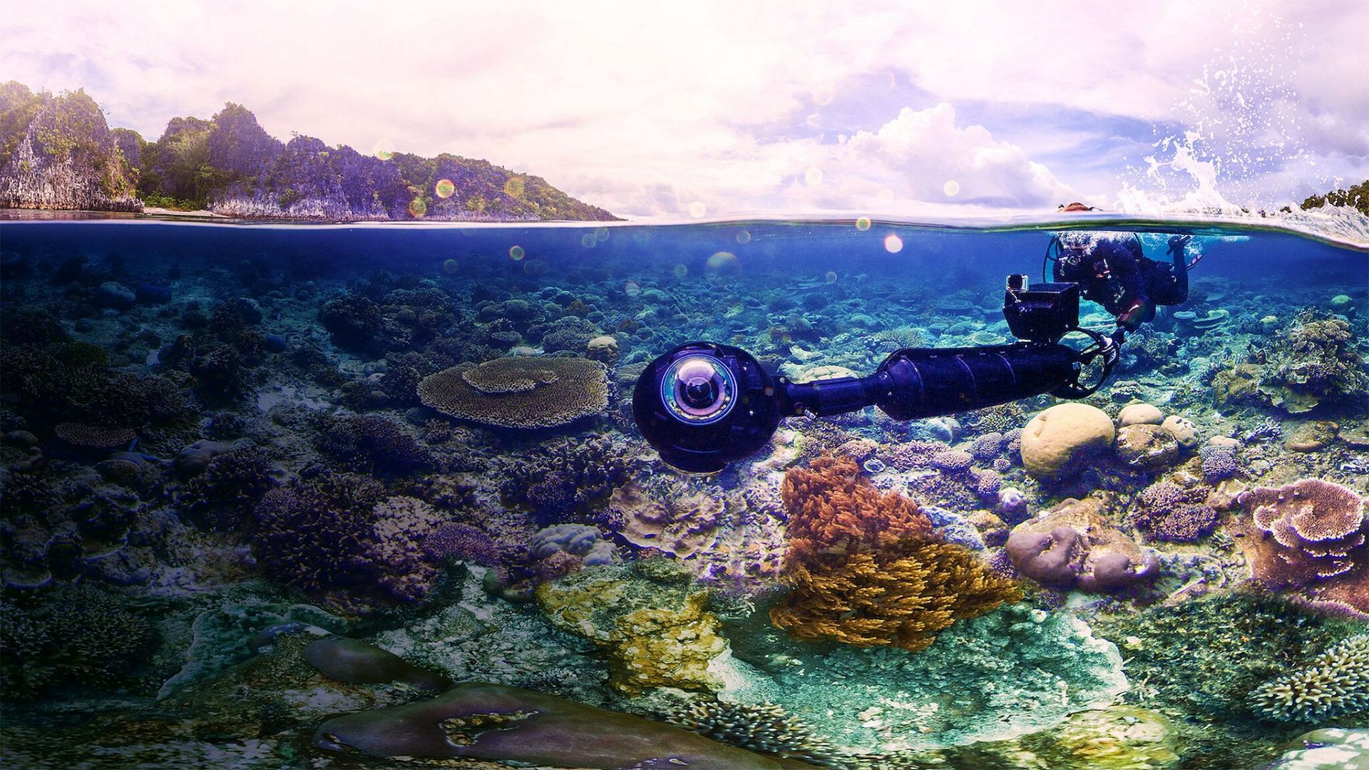 Nature Documentaries on Netflix-Chasing Coral (image via Netflix)